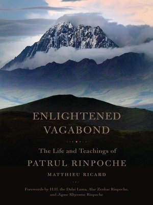 cover image of Enlightened Vagabond